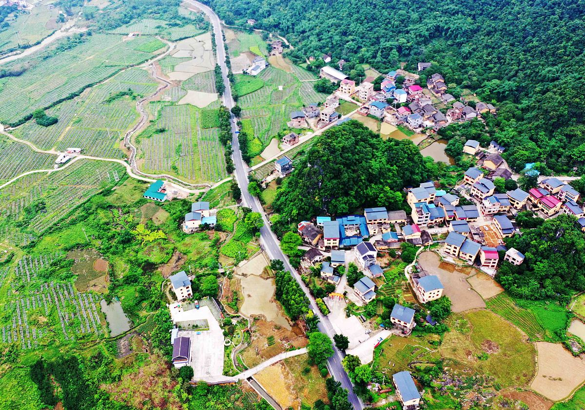 陈塘镇人民政府概况 - 蒙山县