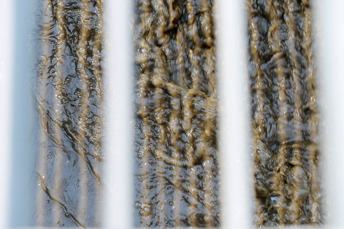 焦磷酸盐是有机物吗