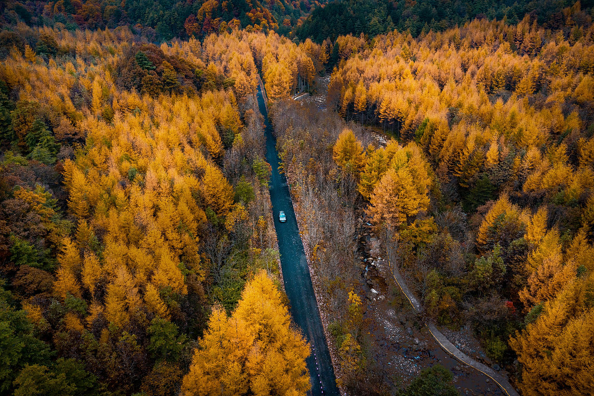 南江县人均生活标准：2023年最新数据
