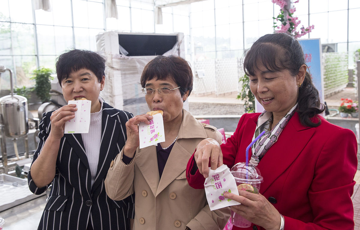 基因之舞：探索林木基因编辑的伦理困境