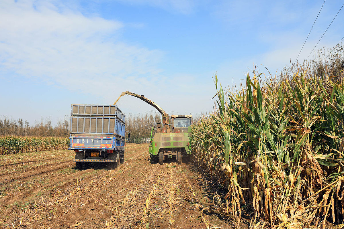 唐山2023年卫校都有哪些专业怎么样