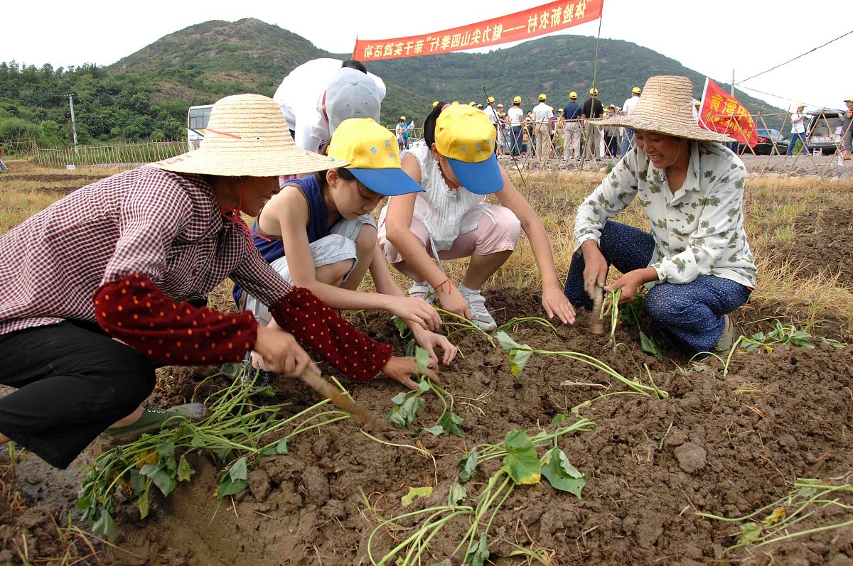 我去了学校的实训基地进行劳动教育活动我耕种了土地请你帮我写一个心得体会收获和感受