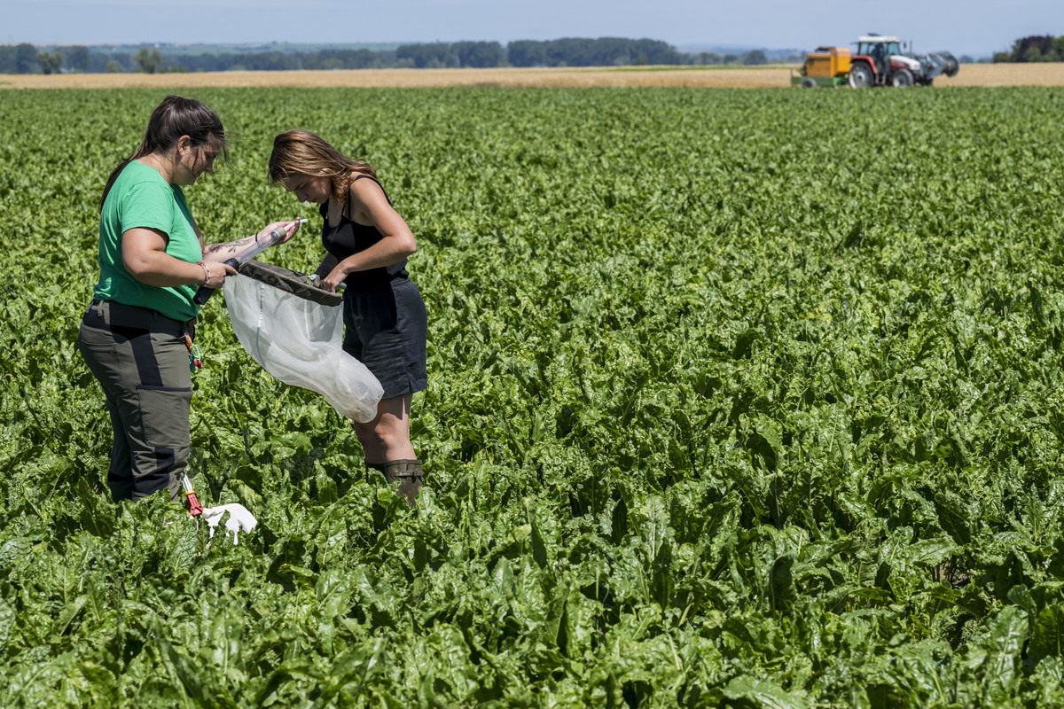 2022年报读云南农业职业技术学院怎么样？