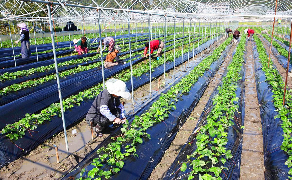 宁夏中专现代农艺技术专业就业前景