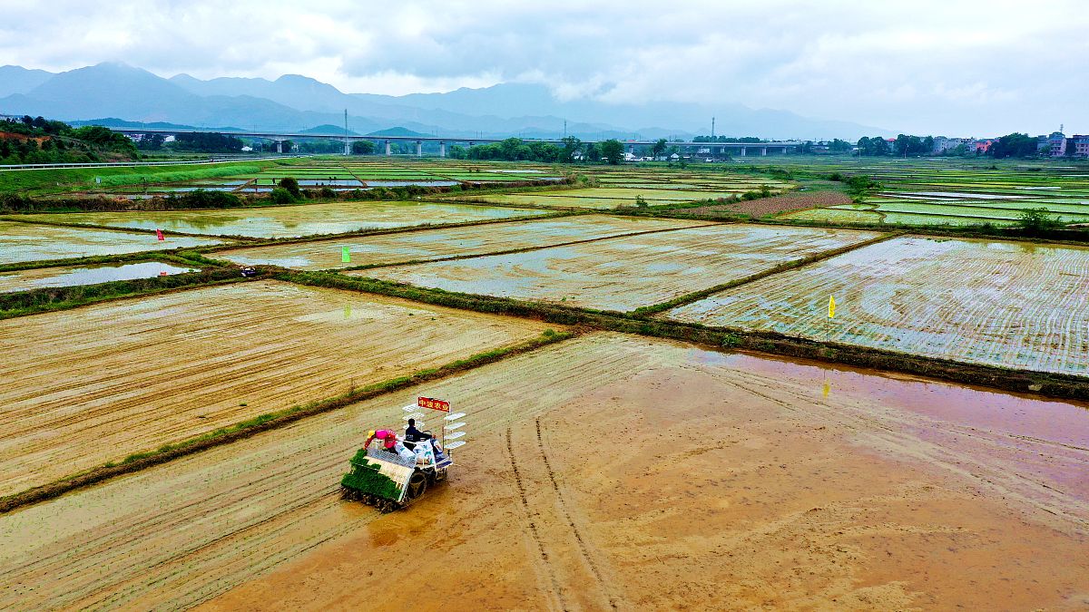 2021年4月9日,江西省吉安市吉水县醪桥镇宋家边村,吉水中波农业专业合