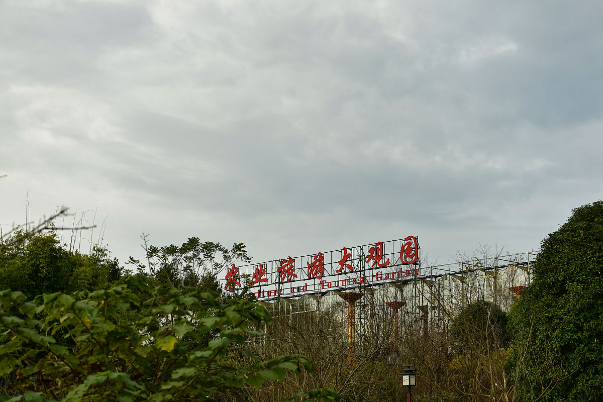 贵州在中专学校学什么专业好
