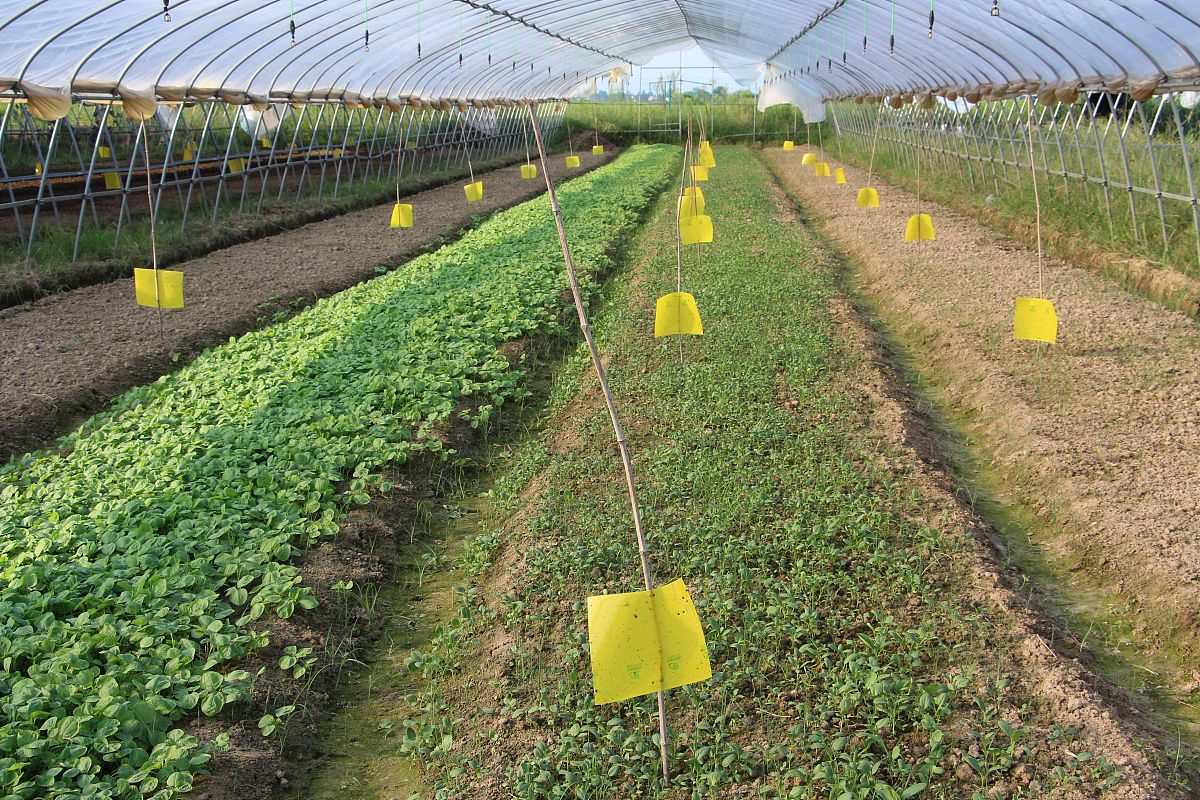 太湖职业技术学校农业生产技术学习课程：培养现代农业人才