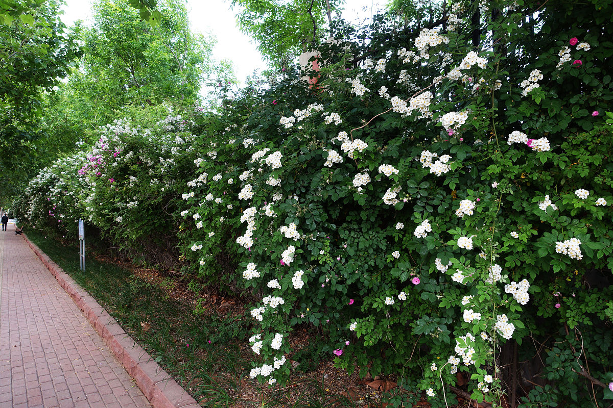 枣庄职业学院云计算技术与应用专业就业前景展望：未来发展趋势及职业方向