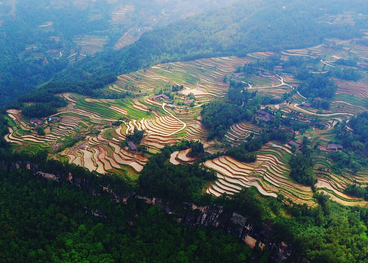 达州中专 vs 大专：哪个更适合你？