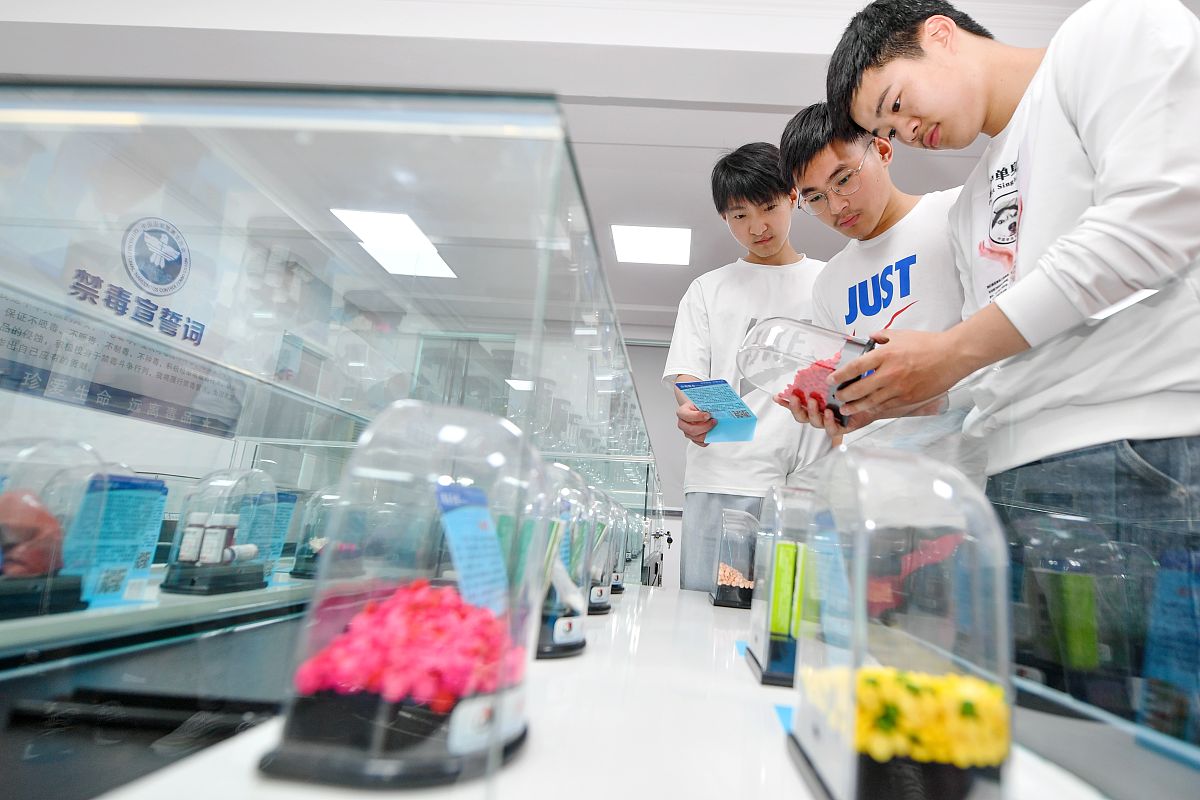 等级医院定制化医学实验配置方案服务商战略目标及执行计划