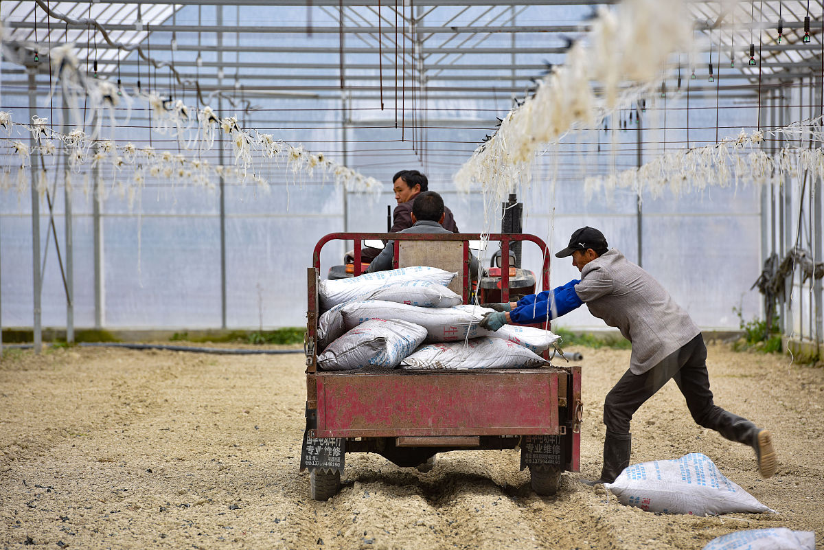 贵州农业机电学校机械加工技术专业就业前景分析