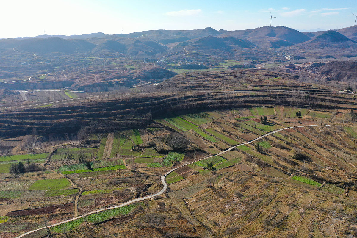 论述延安市林业建设中应该加大林业基础设施建设不少于500字。