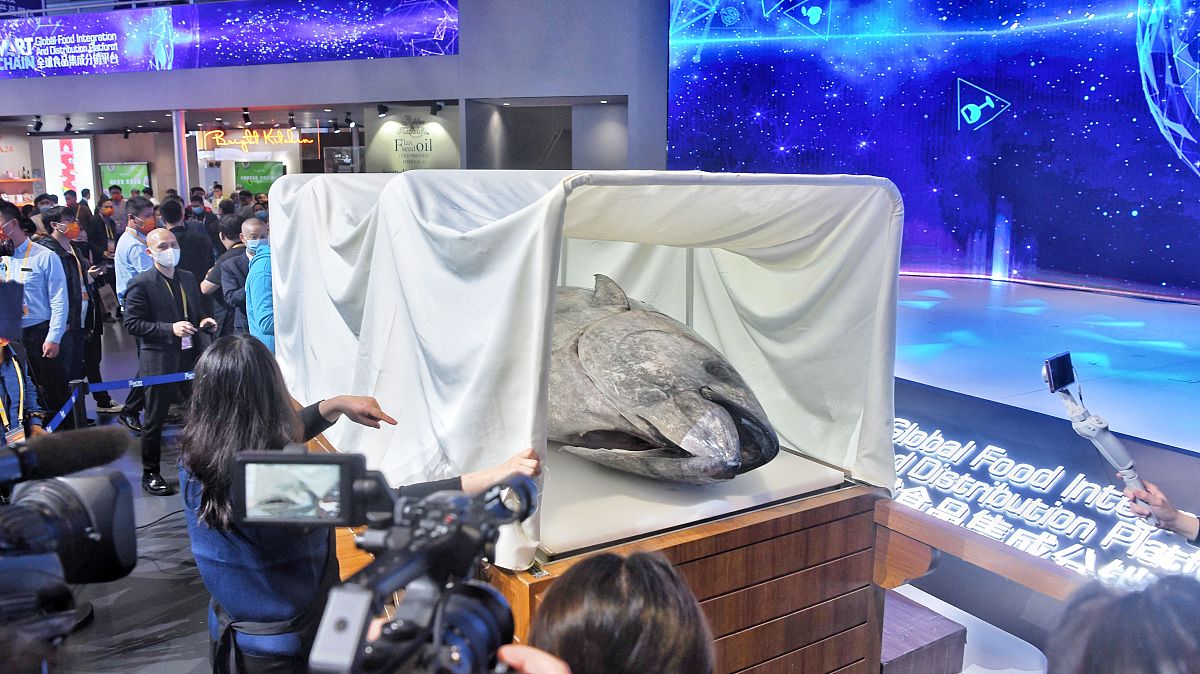 根据姓名 、学校：上海健康医学院、专业：卫生检验与检疫、目前考取公务员为条件做一份600字自我介绍