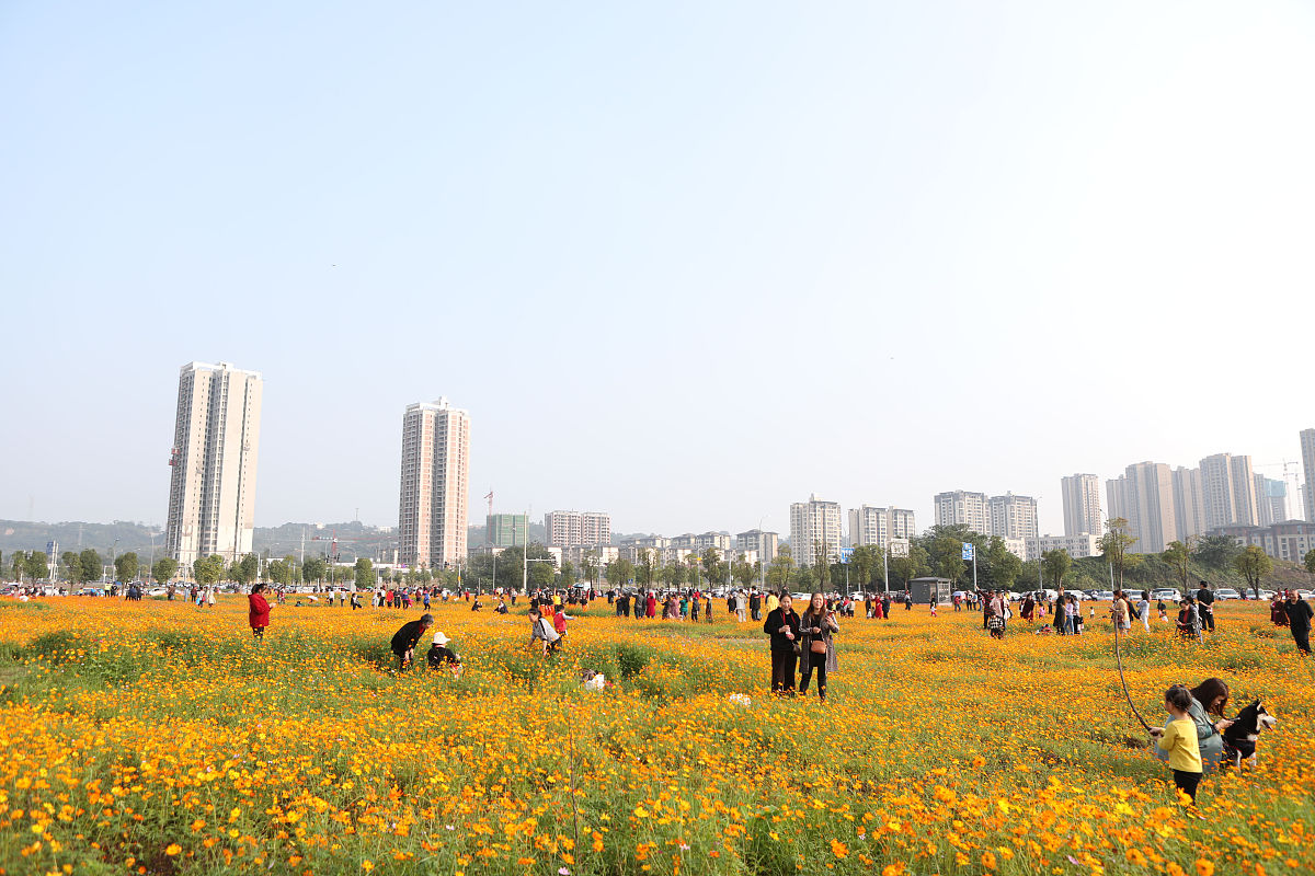 重庆高铁学校工程技术专业课程是什么