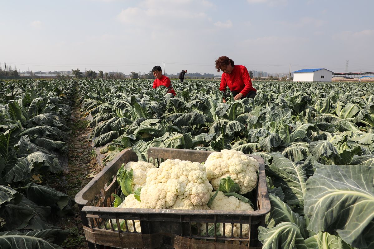 陕西科技技师学院2022年热门专业有哪些怎么样