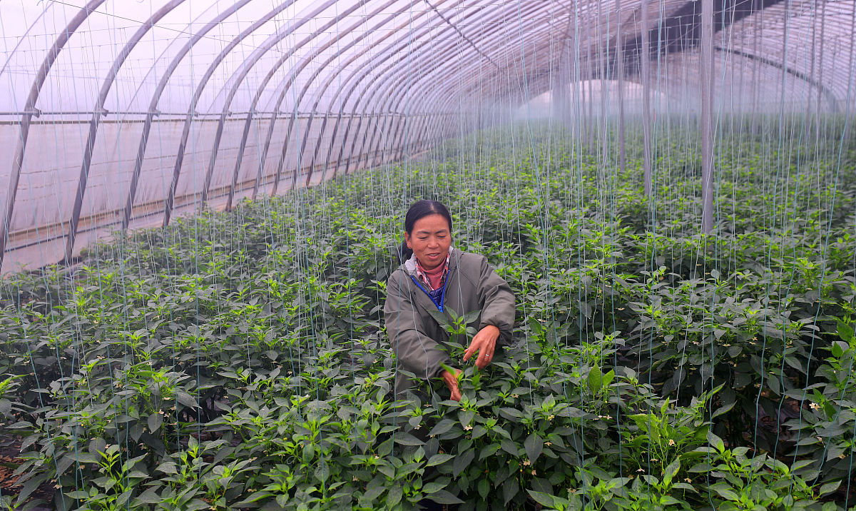 江西现代技师学院是本科吗？办学层次及特色解读