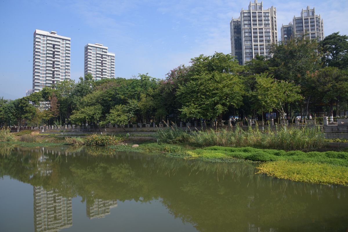 东莞轻工业学校2022年要什么招生条件