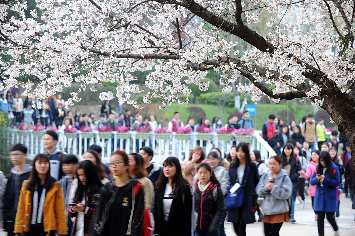 用300单词左右英文介绍美丽的武汉大学