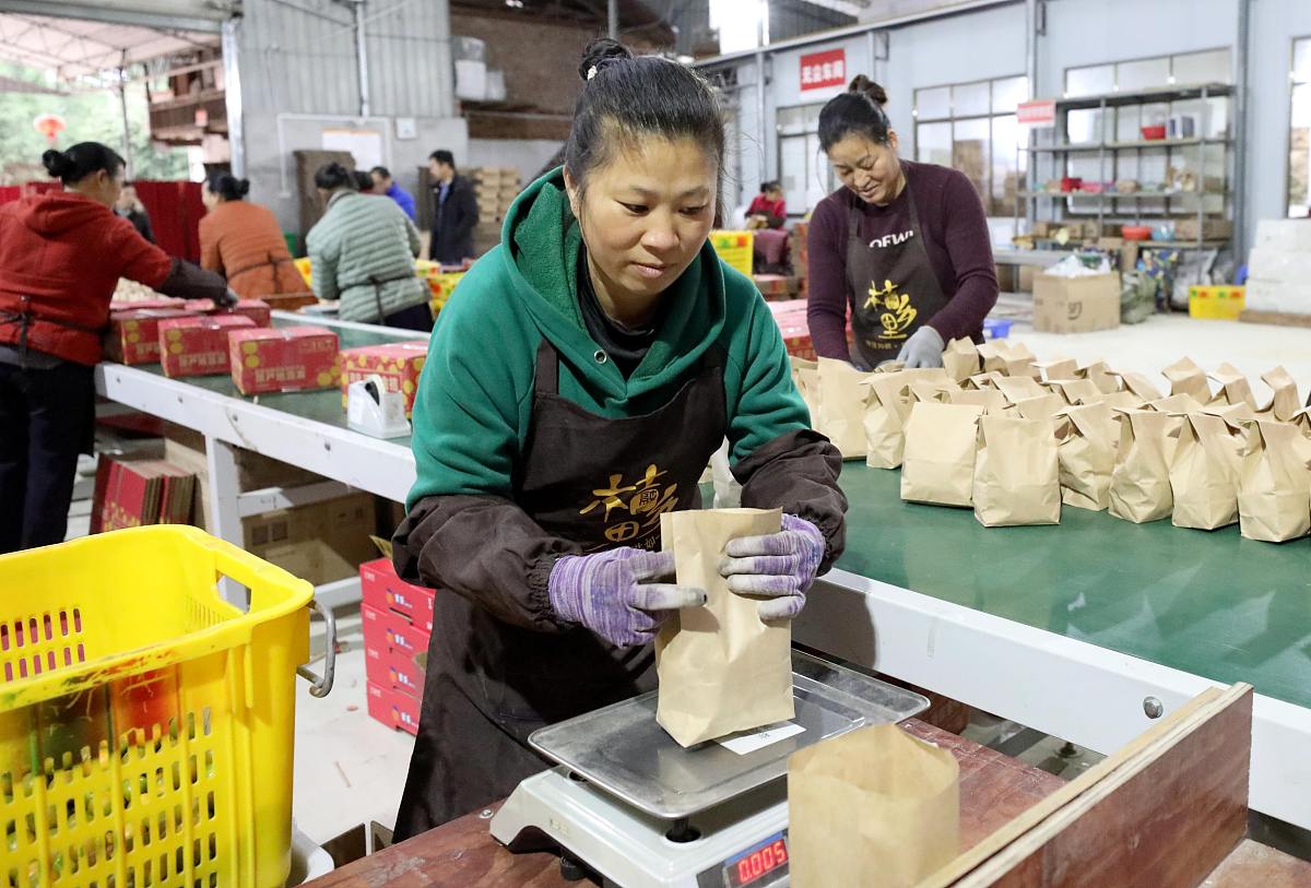 西安海棠职业学院的包装技术与设计专业就业方向好吗