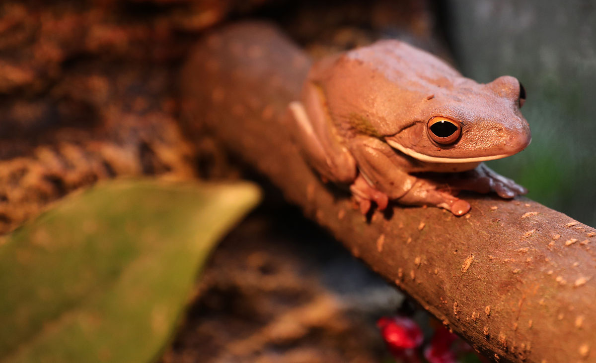 云南省建筑工程学校会计专业2022年招生简章