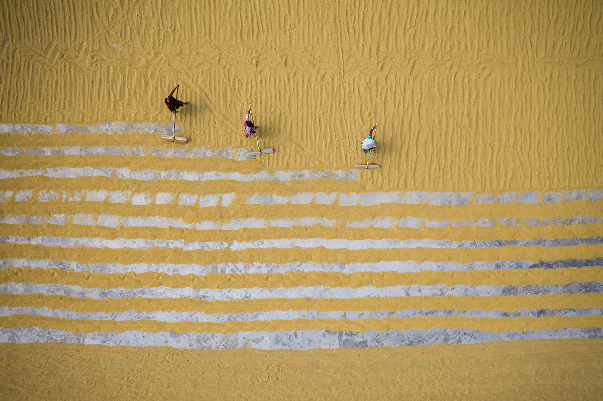 1200字关于《我的世界》：创造你的梦想世界