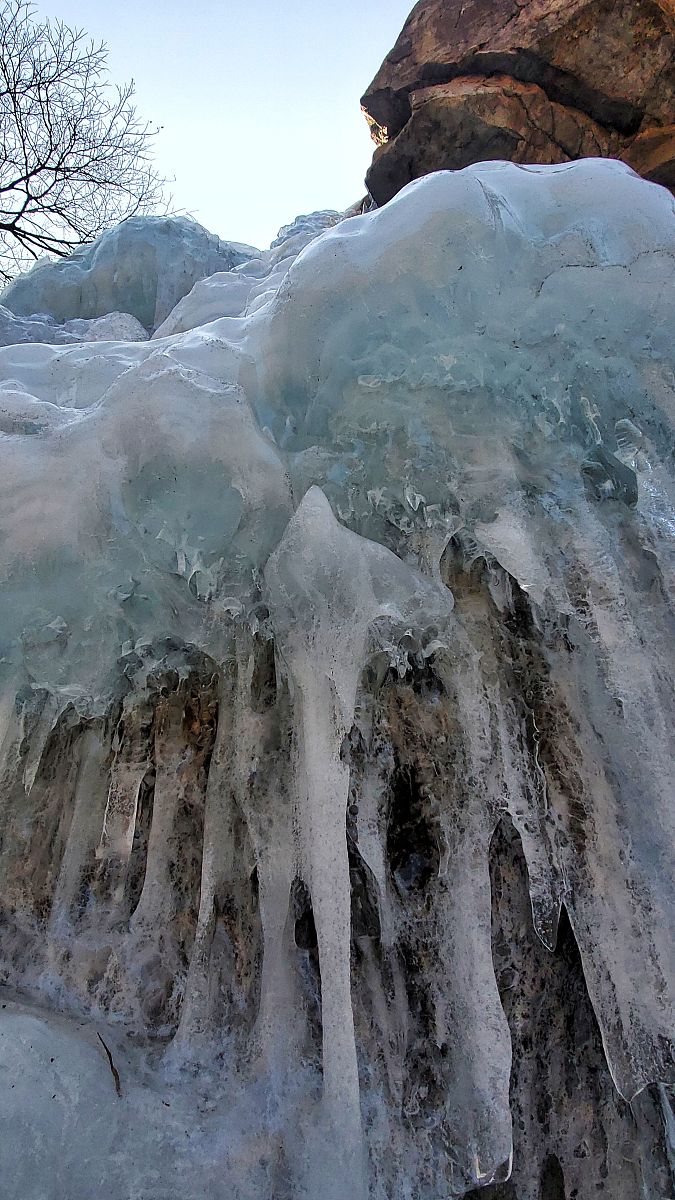 山东旅游职业学院智慧景区开发与管理专业都学些什么