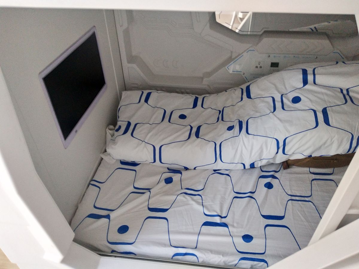 特色民宿短租系统的设计与实现论文 国内外研究现状 300字