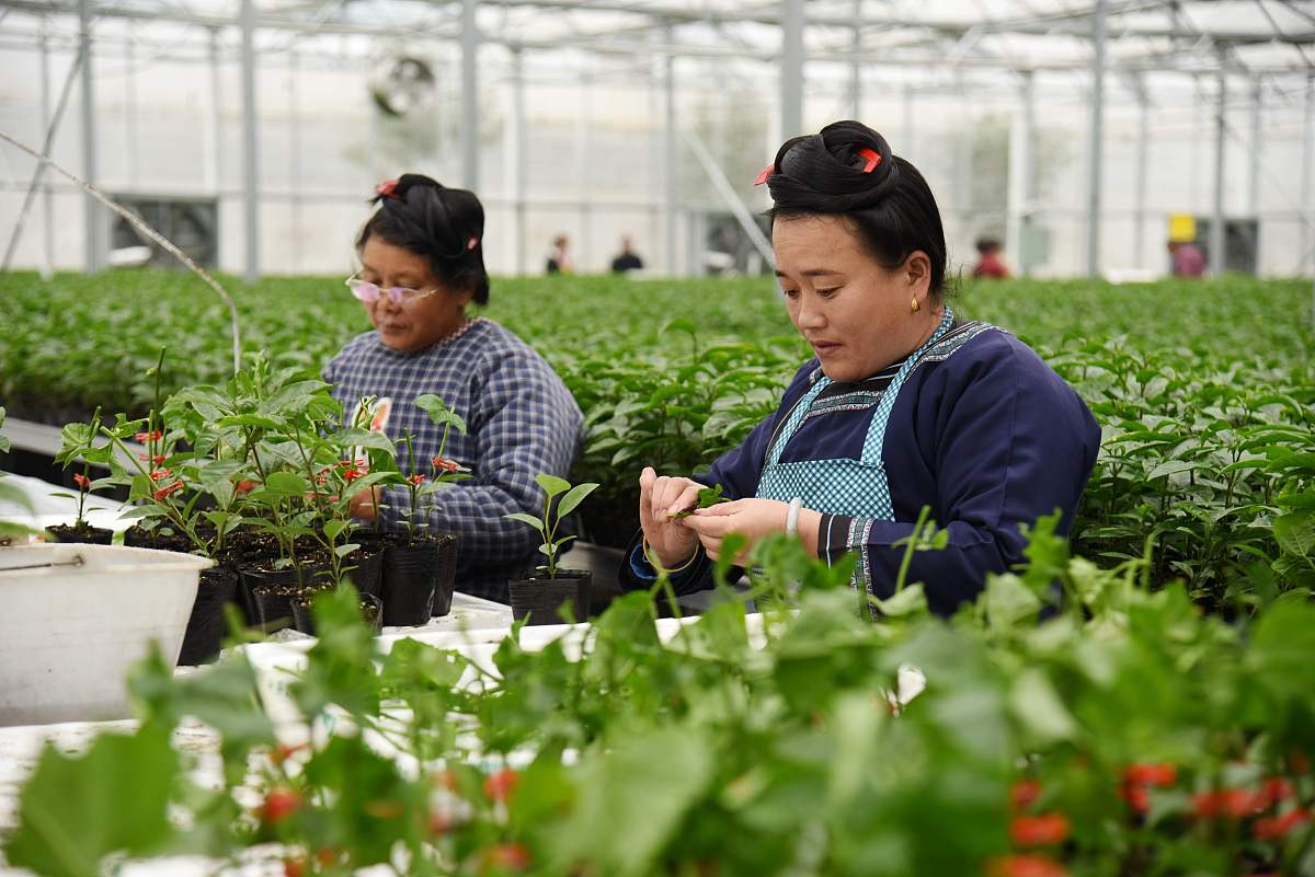 黔西县中等职业学校果蔬花卉生产技术专业好不好发展前景怎样