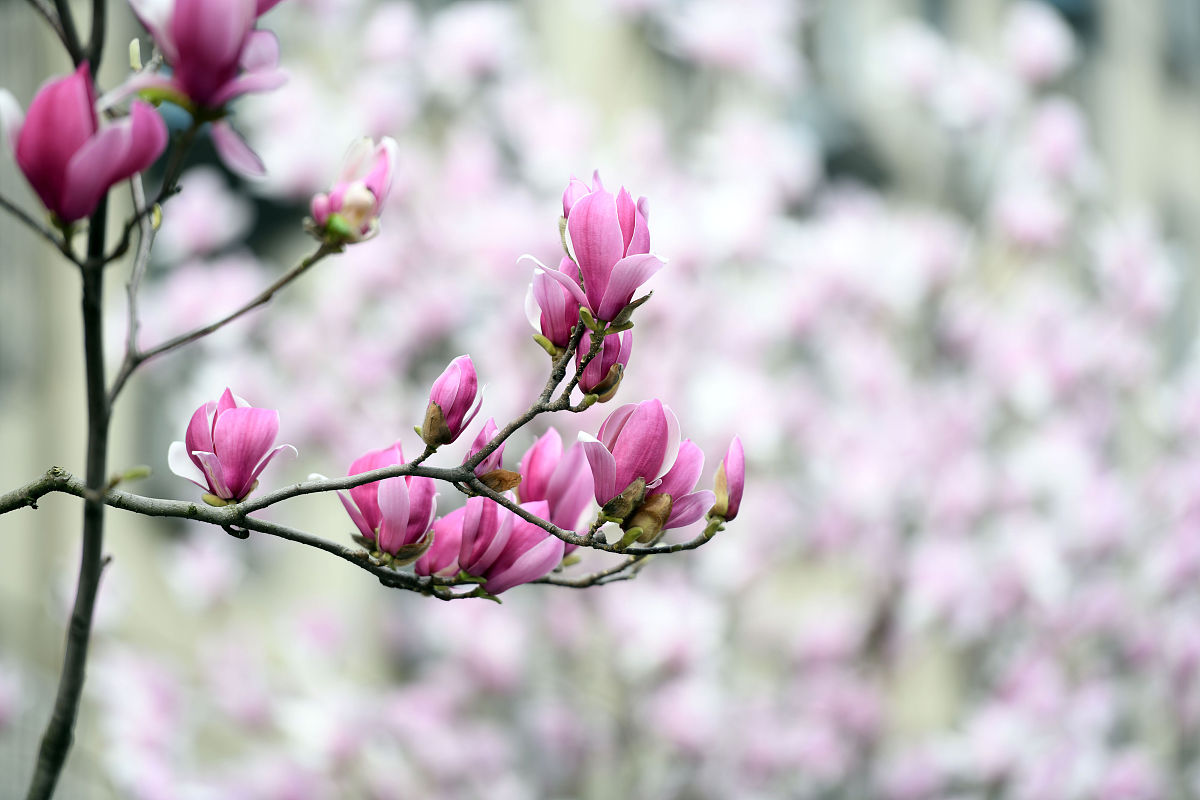 合肥市工程技术学校2022年招生专业都有哪些