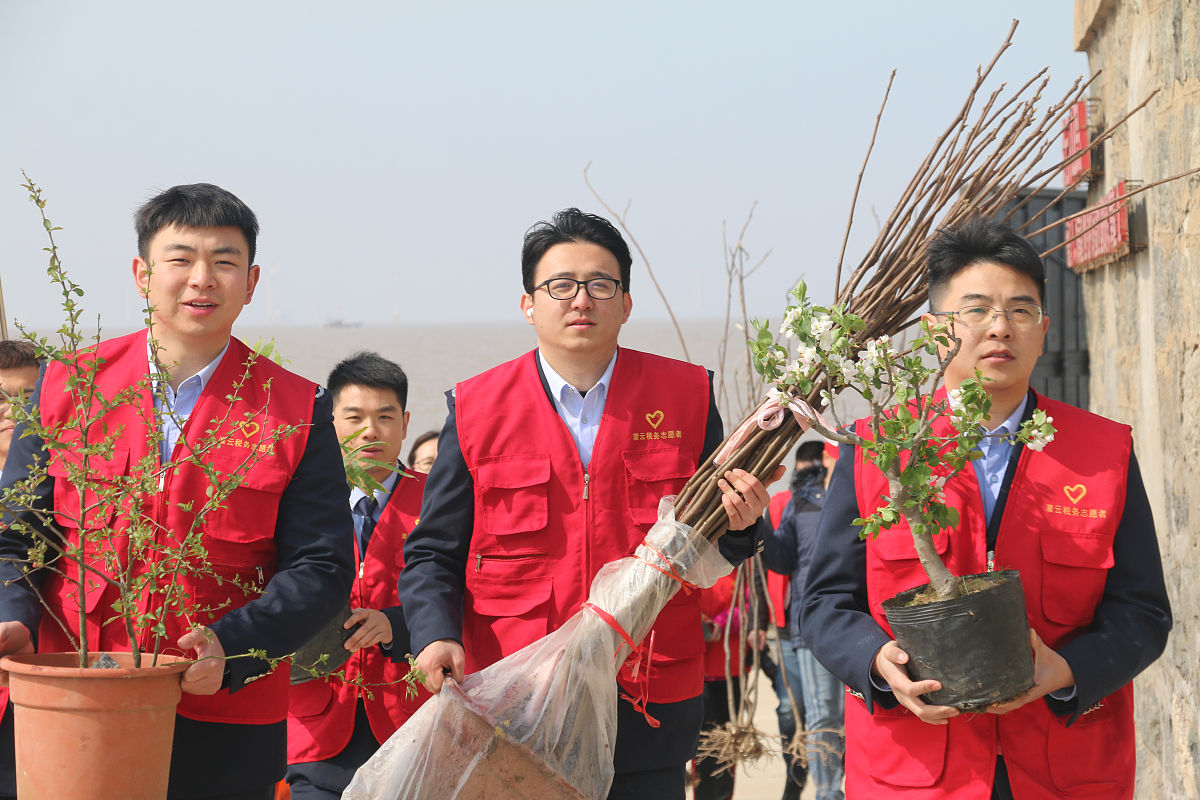 海南经贸职业技术学院税务专业怎么样？- 课程设置、就业前景、学习内容解析