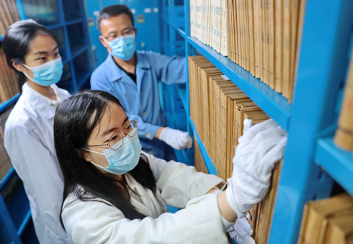 档案管理工作调研：流程、系统、安全与优化