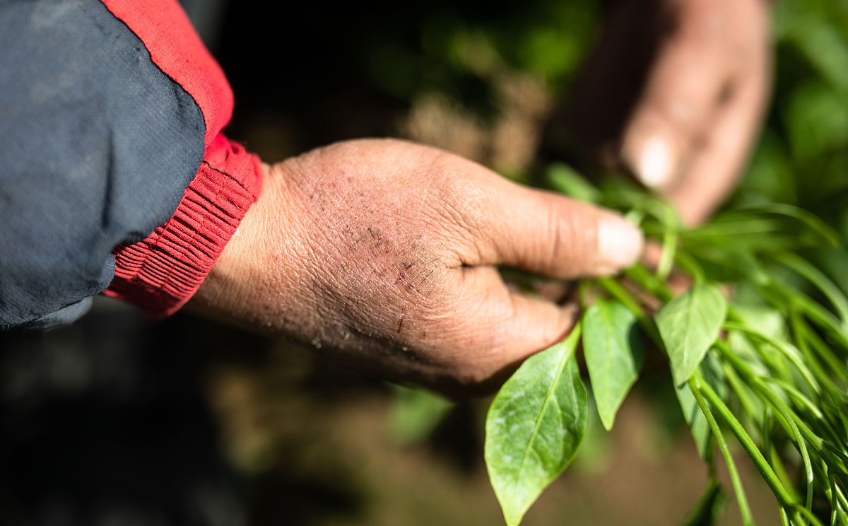 重庆2022年职高好还是铁路学校好