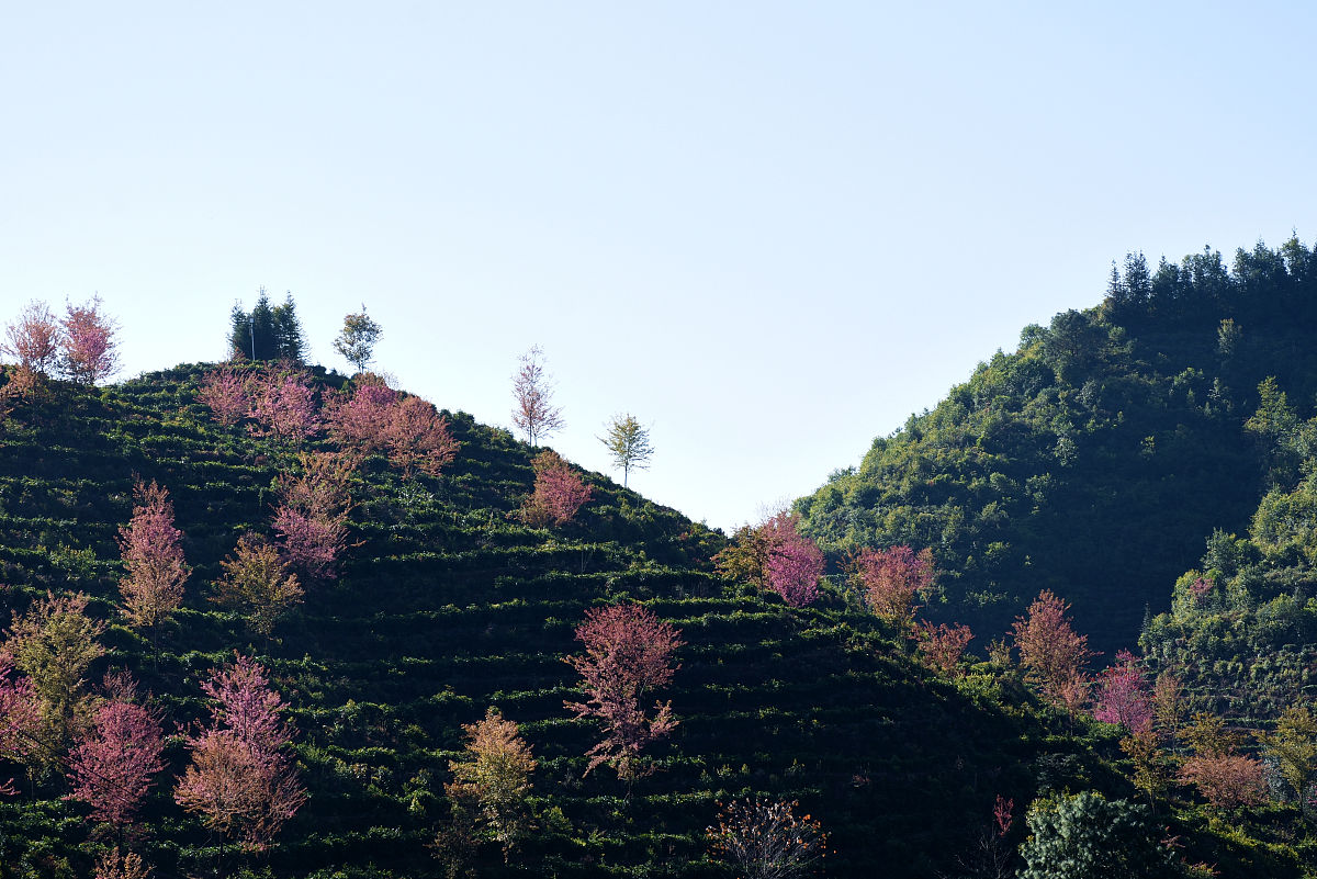 云南省保山中等专业学校怎么样？
