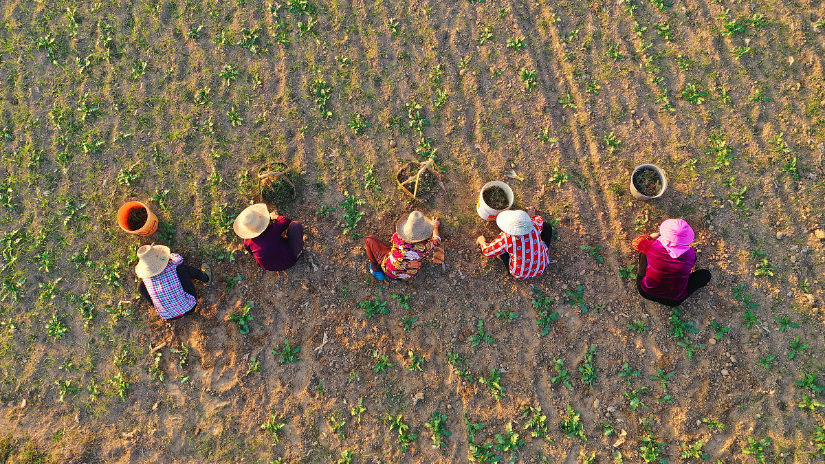 云南曲靖农业学校五年制高职重点特色专业 - 培养高素质农业人才