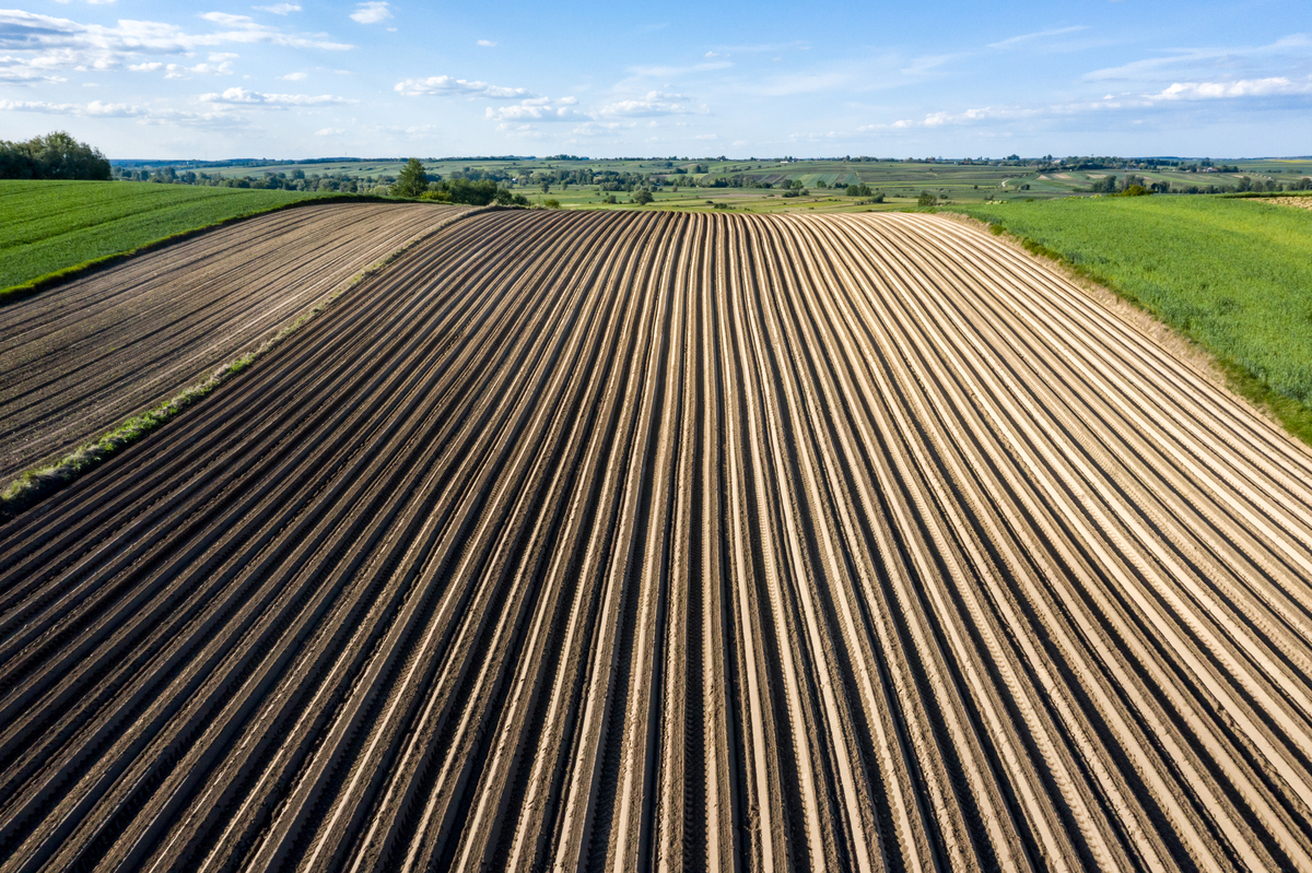 EXPERIMENTAL AGRICULTURE 期刊收录范围：农业科学与实践研究