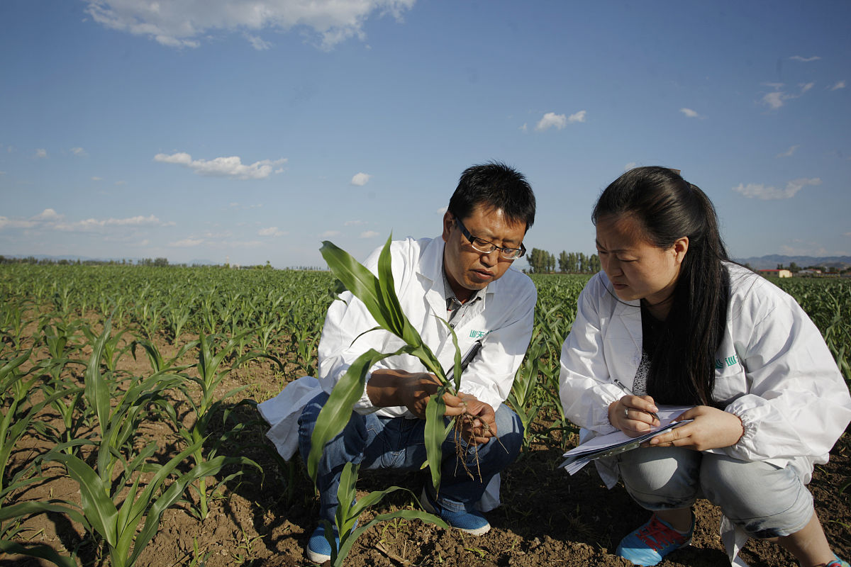 农村技术培训相关文献