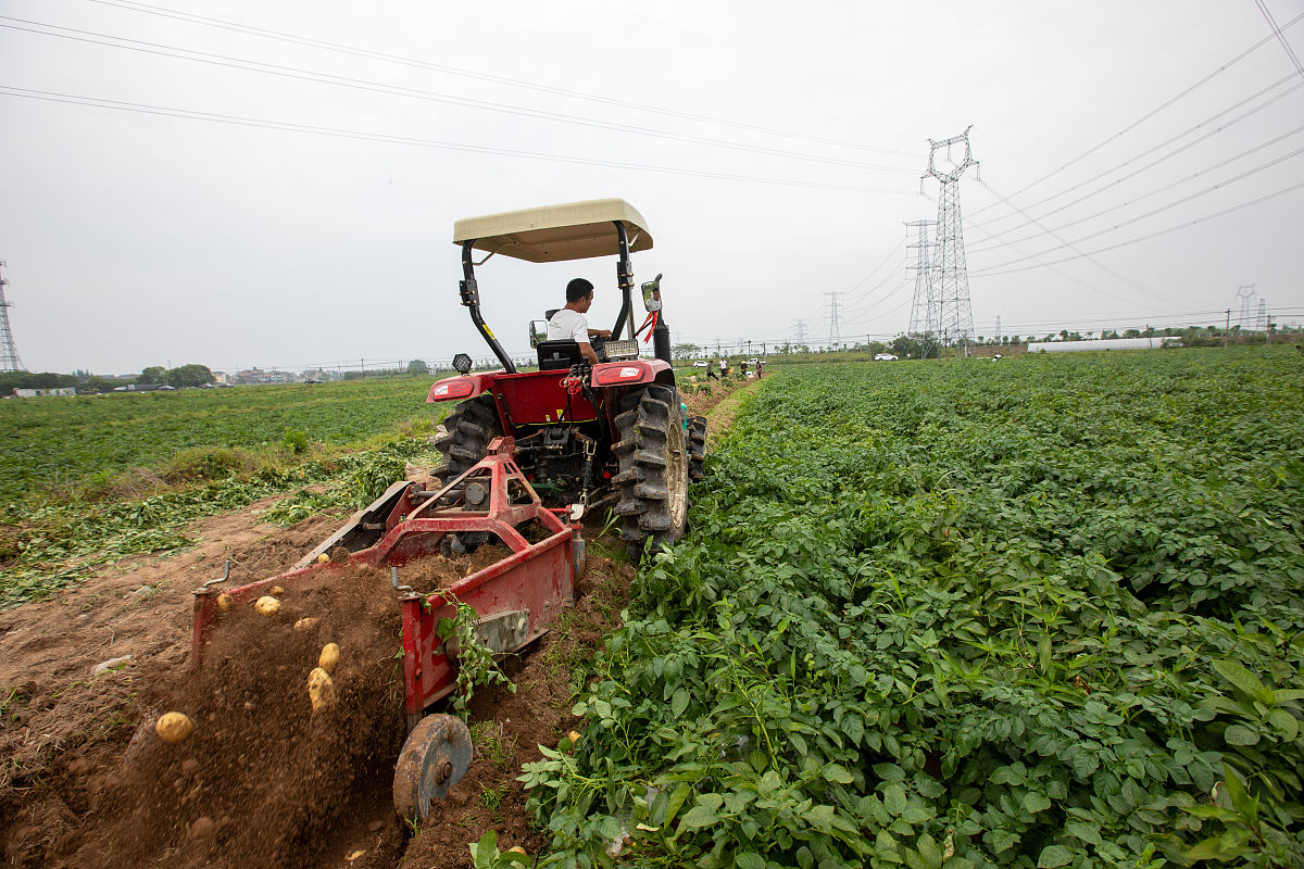 安徽粮食经济技师学院粮食工程专业怎么样？就业前景好吗？