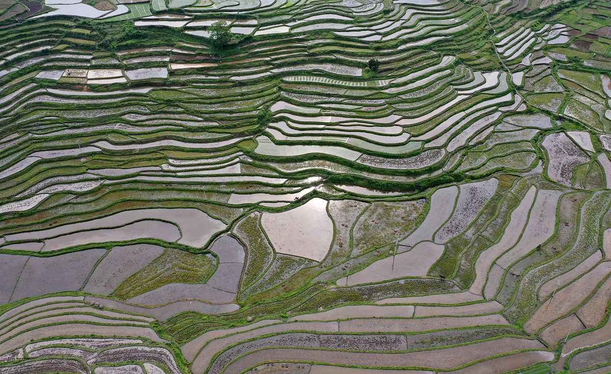 贵定师范学校2022年工艺美术专业招生简章-培养创新实践人才