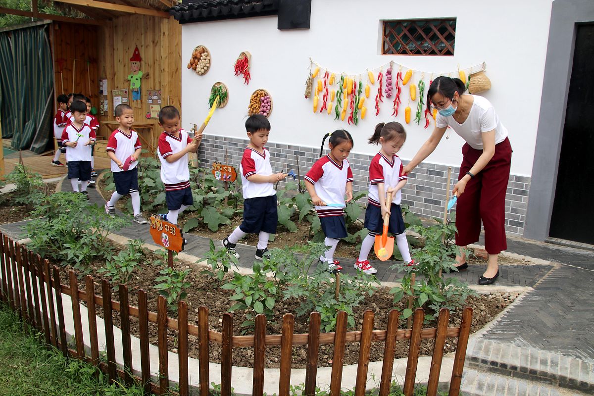 生命的花园：以家庭为试验田，实践幼儿劳动教育