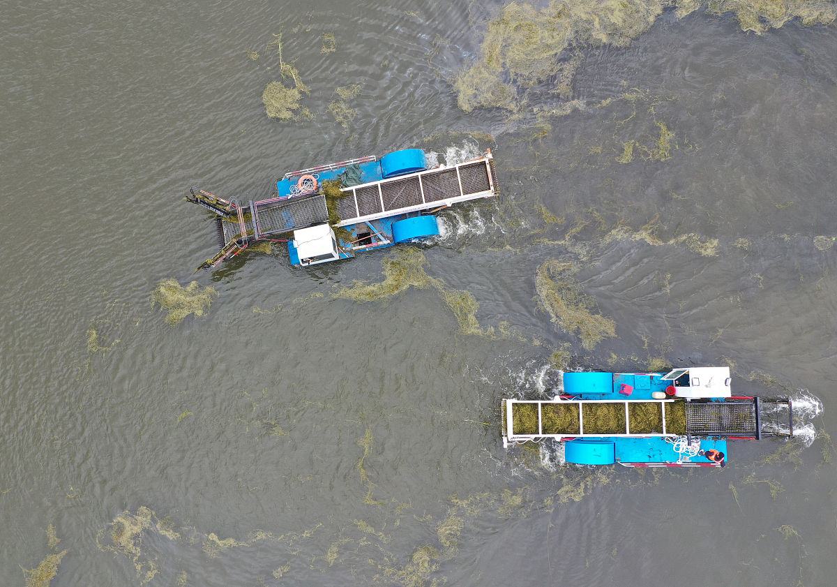 多波束扫测系统：海洋测绘的革命性技术