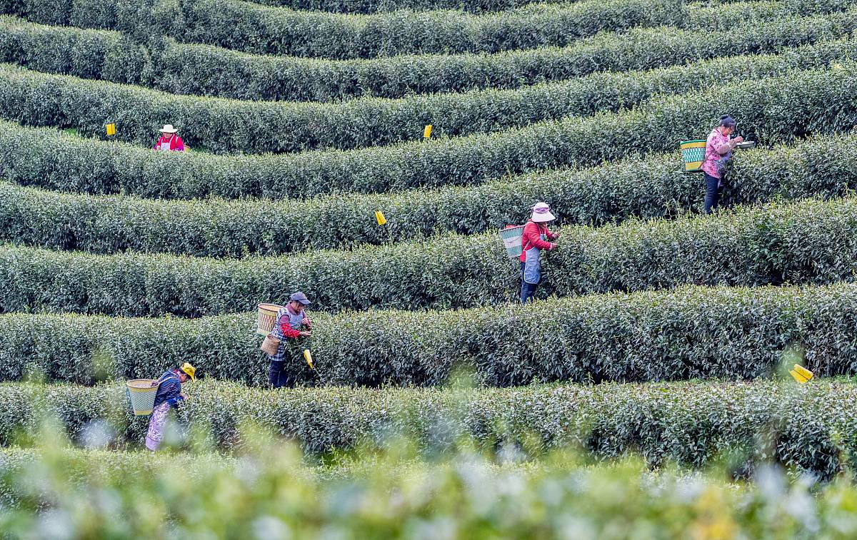 重庆汽修学校排名：哪所学校就业前景最好？