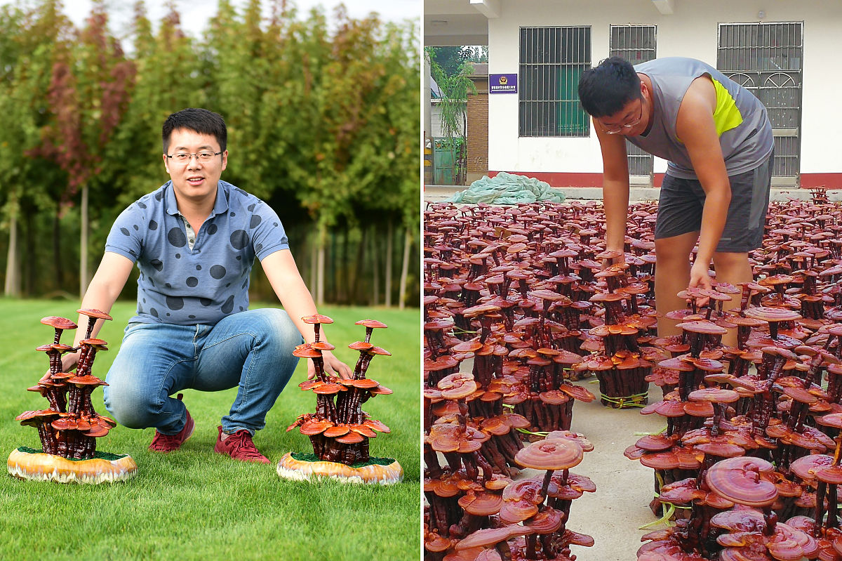 福建农林大学农业资源与环境专业怎么样？优势解读