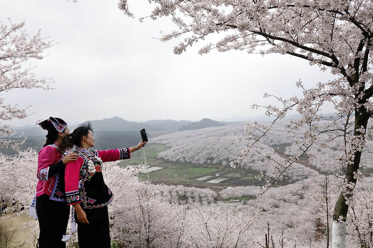 关于贵州安顺市政二级资质怎么新办及转让内容详细一点字数
