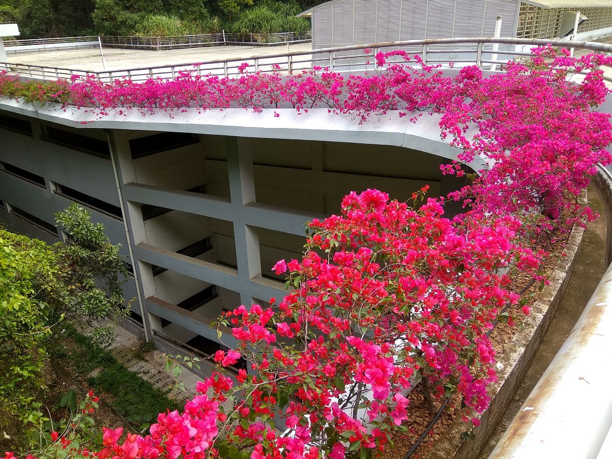 湄洲湾职业技术学院宝玉石鉴定与加工专业专业课程设置有哪些