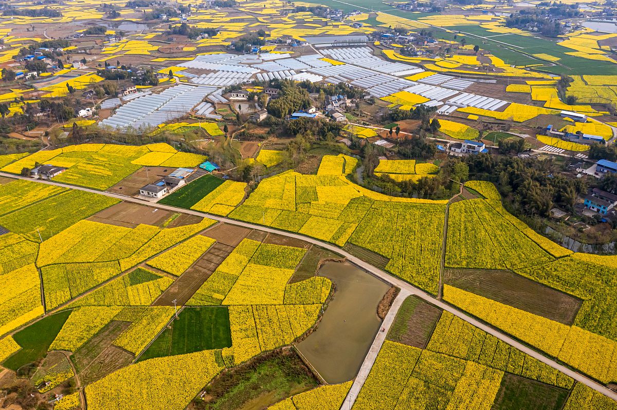 成都哪所建筑工程学校有3+2五年制大专班