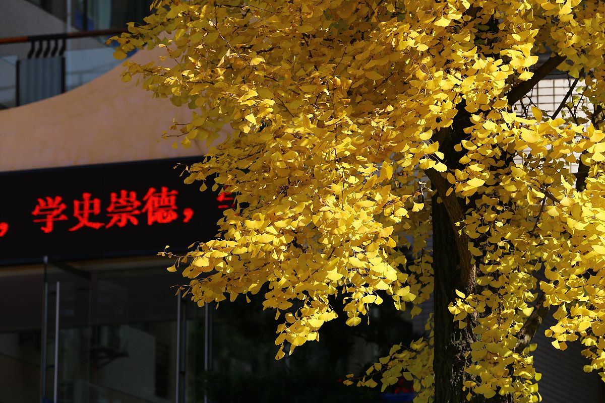 重庆工商学校2019年市场营销专业招生简介
