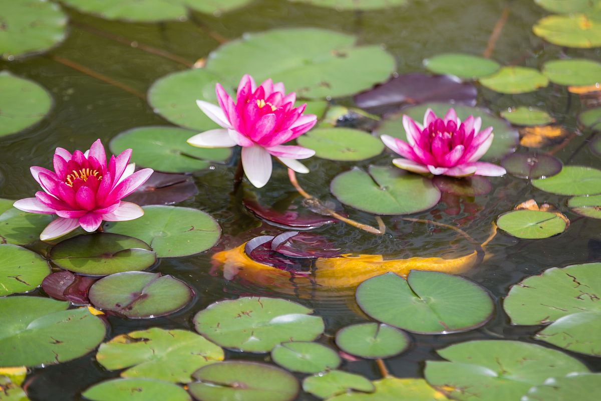 贵阳市哪所中专学校比较好就业