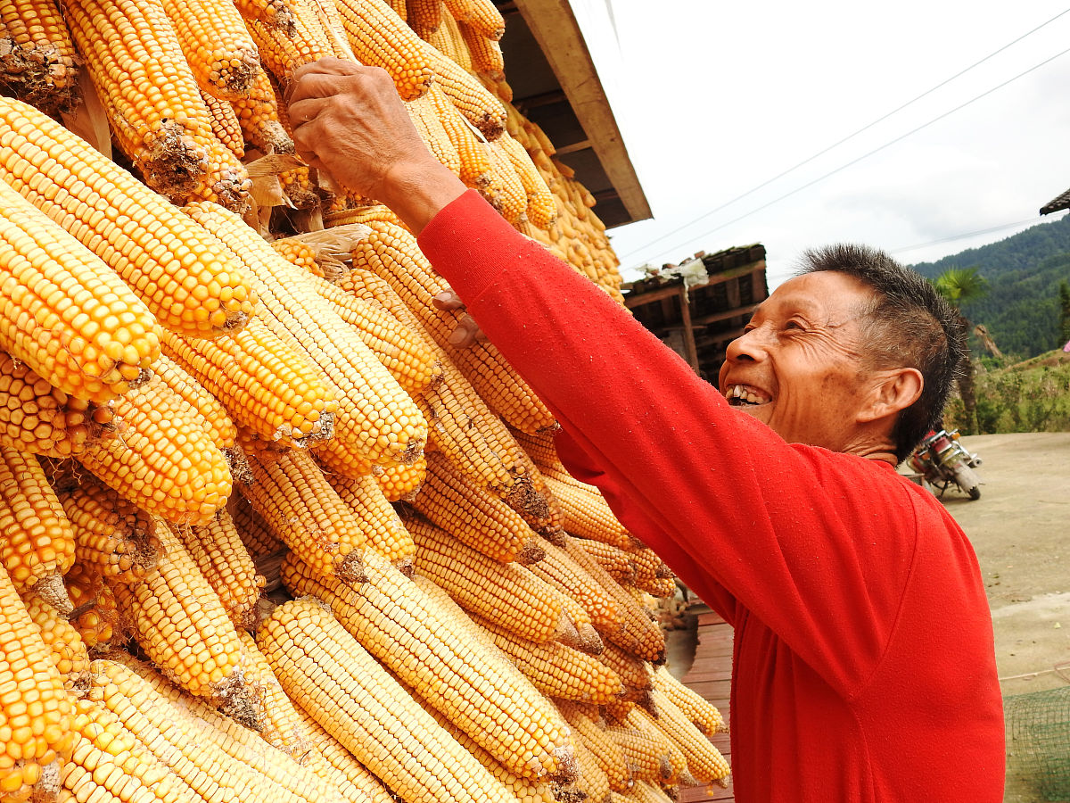 达州读中专学校可以考大学吗用