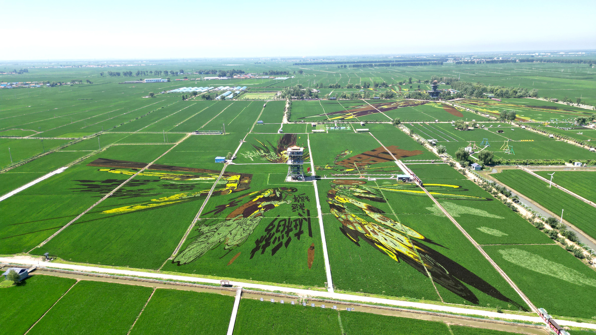 请关于高标准农田建设的文章大约10000字