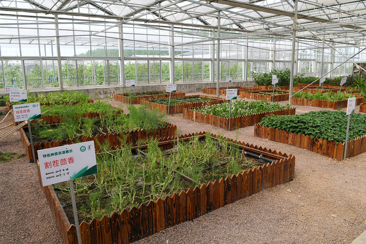 曲靖农业职业学校2019年五年制高职重点专业